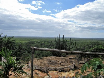 פאזל של CampiÃ±a yucateca.