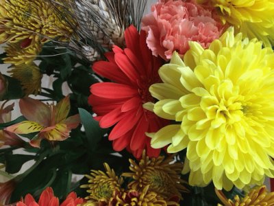 Beautiful Autumn Flowers jigsaw puzzle