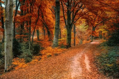 Nature
