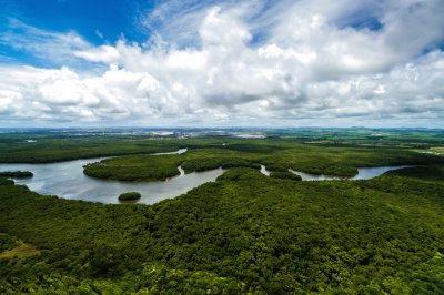 amazonia jigsaw puzzle