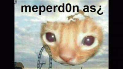 pepe123