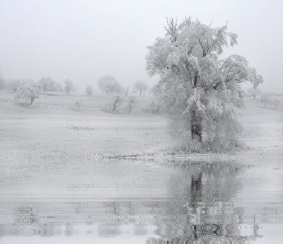 פאזל של Neige 4