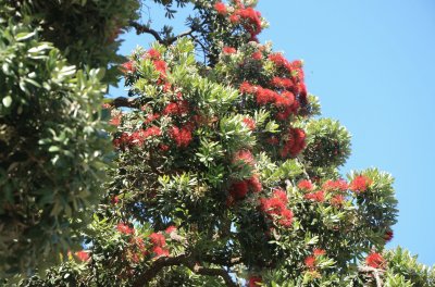 mallorca