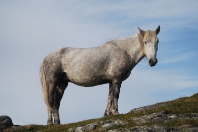 Eriskay jigsaw puzzle