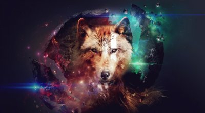 Loup jigsaw puzzle