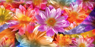 Flowers jigsaw puzzle