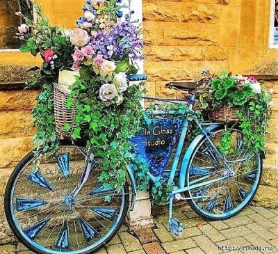 flores