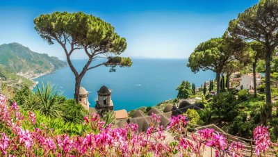 Capri et fleurs