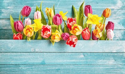 PARED TULIPANES jigsaw puzzle