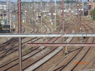 tracks