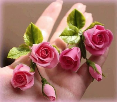 Pink roses