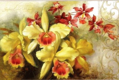 פאזל של orchidee