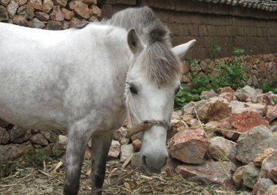 Lijiang jigsaw puzzle