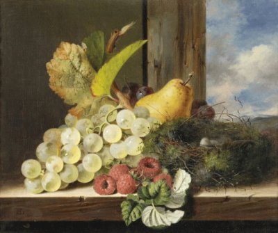 still life