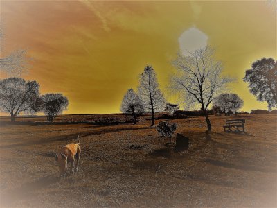 paseo