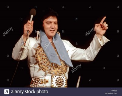 elvis in concert