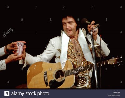 elvis in concert