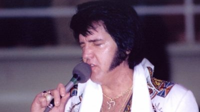 elvis in concert