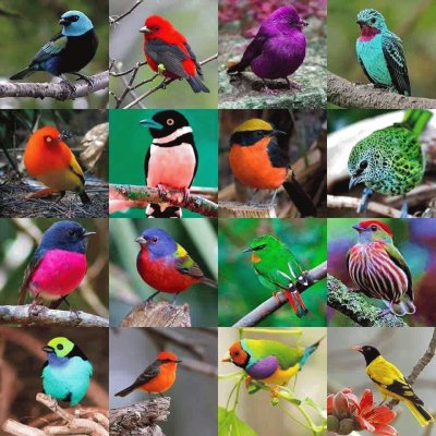 Birds jigsaw puzzle