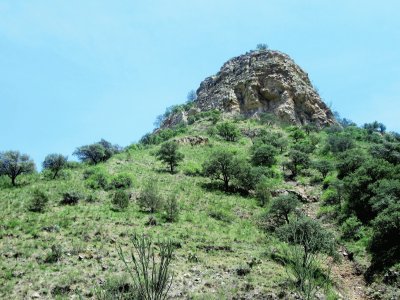 פאזל של PeÃ±a en el campo chihuahuense.