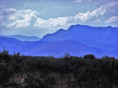 SerranÃ­a norteÃ±a, MÃ©xico. jigsaw puzzle