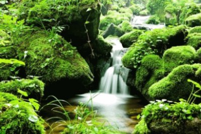 Cascata jigsaw puzzle