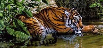 Tiger jigsaw puzzle