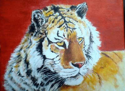 tigre