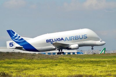 פאזל של Airbus Industrie SATIC Super Transporter Beluga