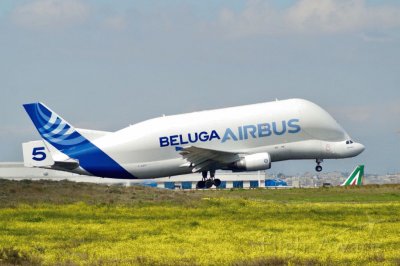 Airbus Industrie SATIC Super Transporter Beluga jigsaw puzzle