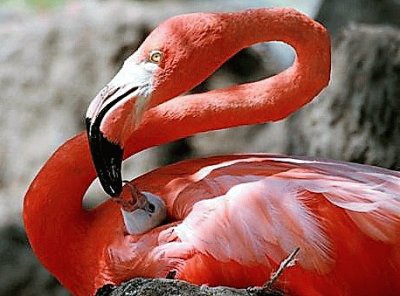 mom#278