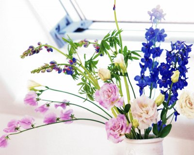 flor lilas