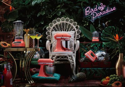 Bird of Paradise Appliances