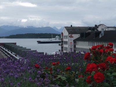 Molde