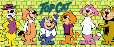 DON  GATO jigsaw puzzle