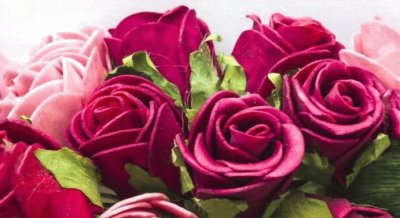 rose rosse e rosa jigsaw puzzle