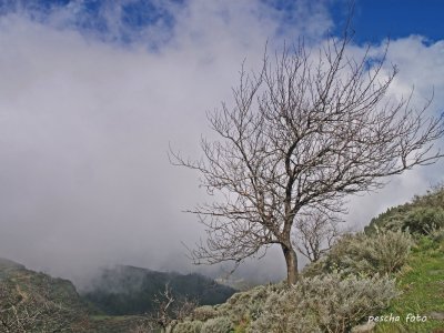 פאזל של gran canaria / passat