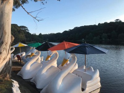 Pedalinhos no Lago