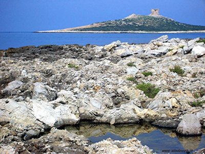 PALERMO ISOLE DELLE FEMMINE