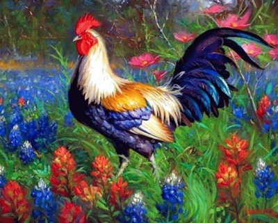 פאזל של gallo