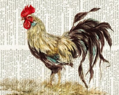 gallo jigsaw puzzle