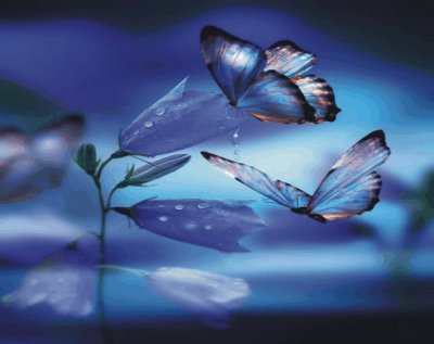 Butterfly jigsaw puzzle