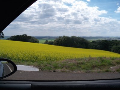 vista do carro