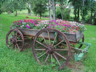 carroÃ§a jigsaw puzzle