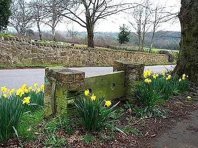 Mapperley Stocks