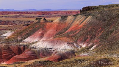 פאזל של Petrified Forest - New Mexico