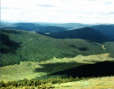 CO  Rocky Mtn NP High valley