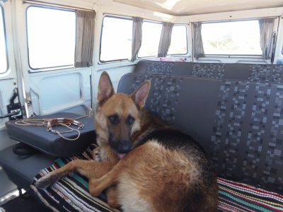 ChicÃ£o na kombi