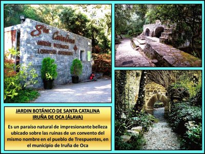 פאזל של IRUÃ‘A DE OCA (ÃLAVA) - JARDIN BOTÃNICO DE SANTA CATALINA