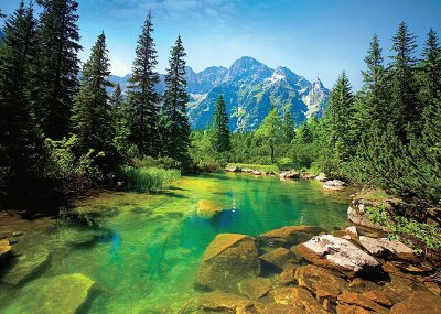 ruisseau montagnard en Slovaquie jigsaw puzzle